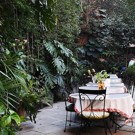 Hotel Nirvana Garden-2